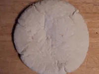 Pitta
