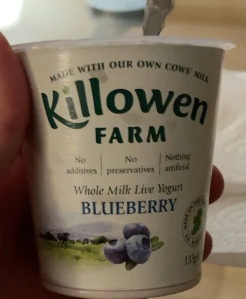 Yogurt blueberry