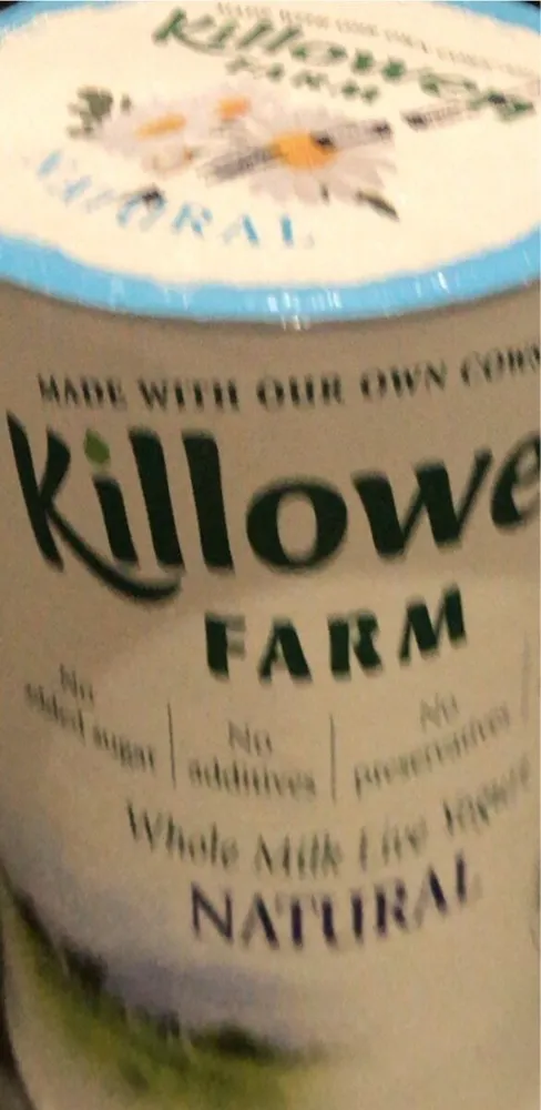 Natural Yogurt