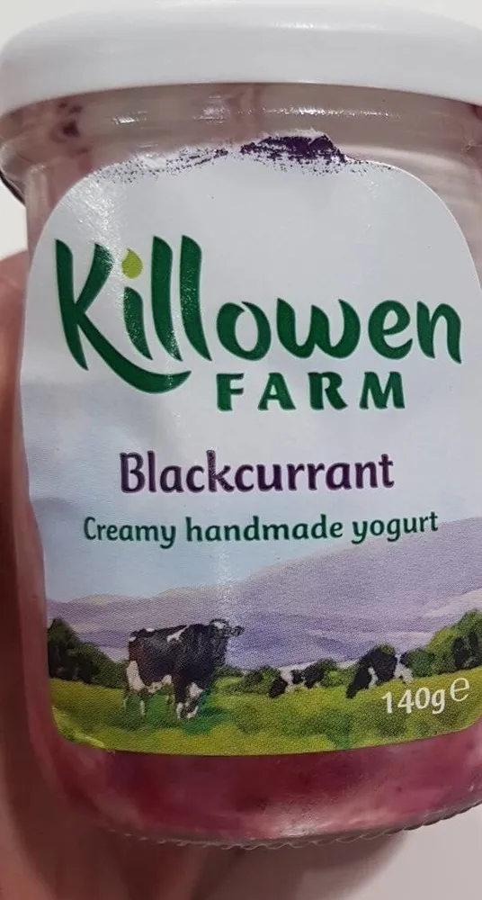 Blackcurrant creamy handmade yogurt