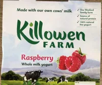 Raspberry whole milk yogurt