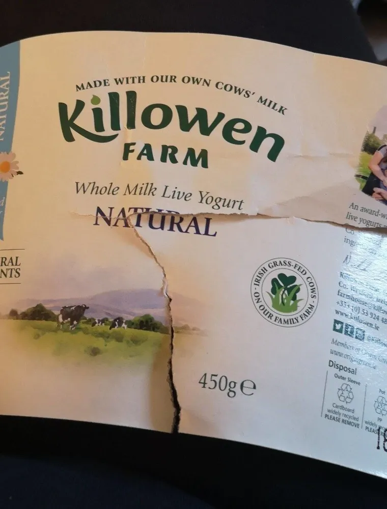 Natural yogurt
