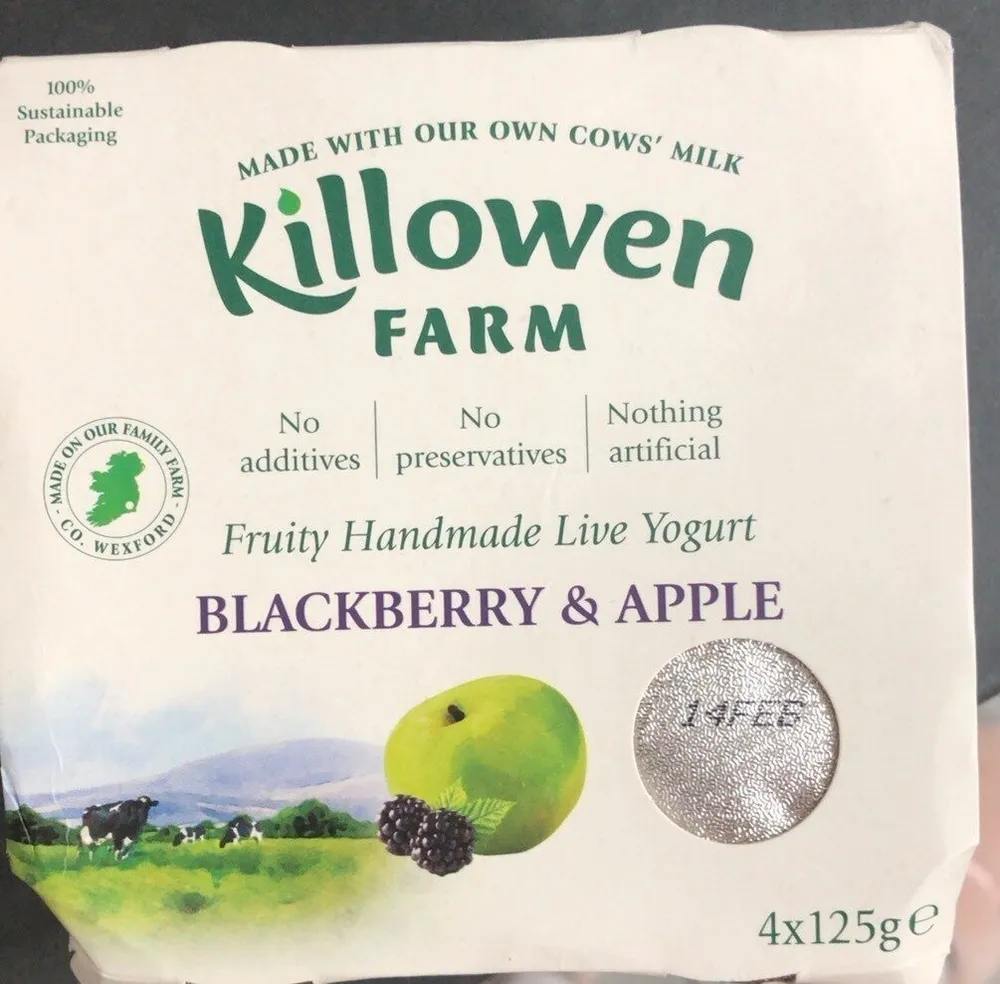 Blackberry and apple yogurt