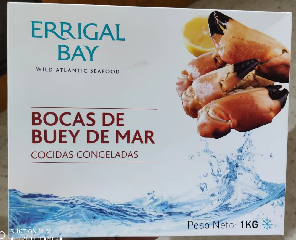 Bocas de buey de mar cocidas congeladas