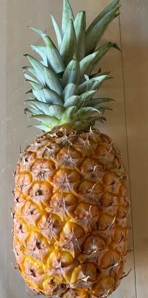 Annanas