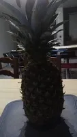 Pineapple extra sweet - Ananas