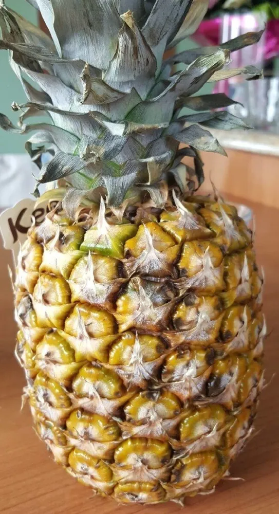 Ananas de Costa Rica