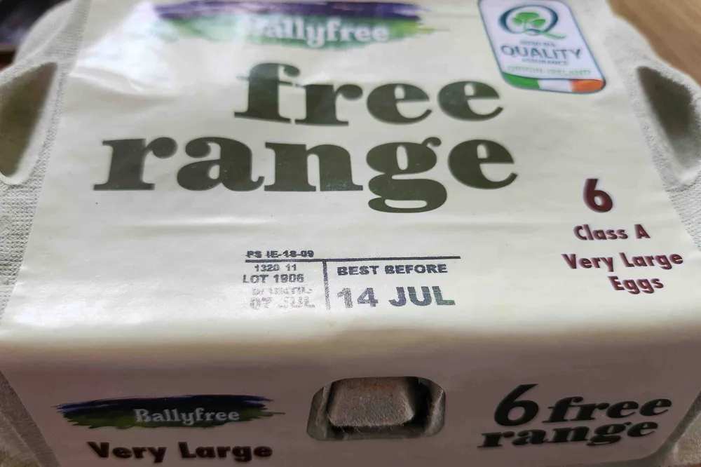 free range eggs