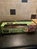 Caterpillar Celebration Cake