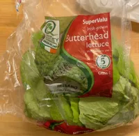 IRISH BUTTERHEAD LETTUCE