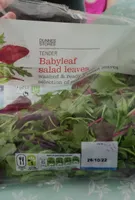 Tender Babyleaf Salad Leaves