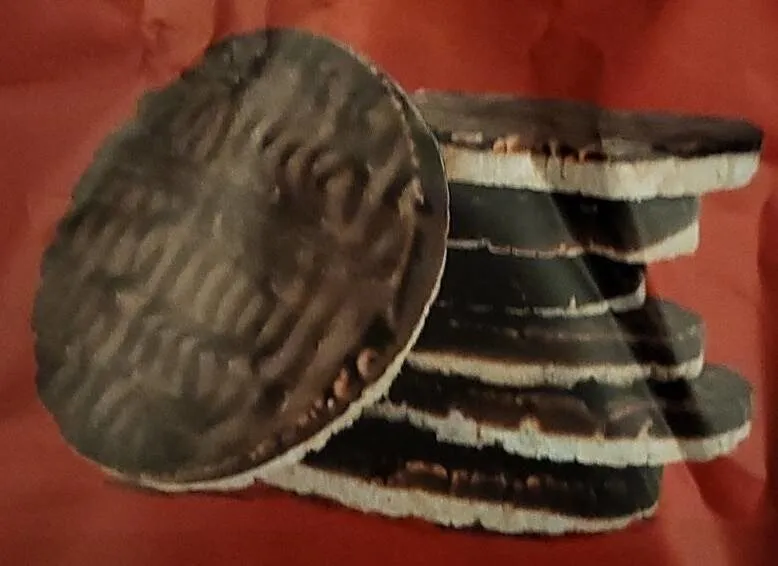 Chocolate rice cakes