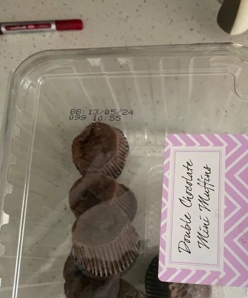 Double Chocolate Mini Muffins