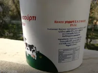 Etrayyisto yiaourti