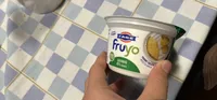 Yogurt Fage fruyo ananas