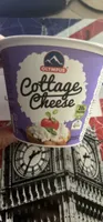 Cottage Cheese