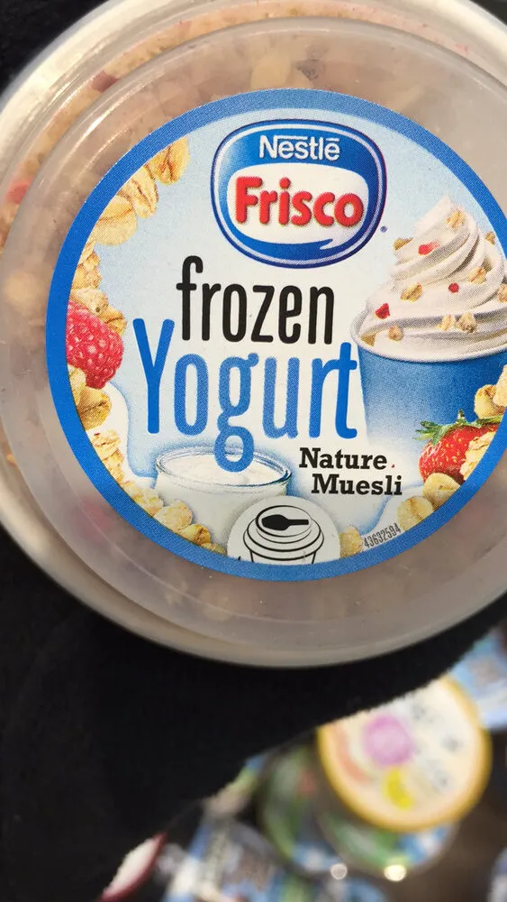 Frisco Yogourt glacé Nature Muesli