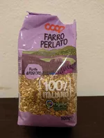 Fargo Perlato