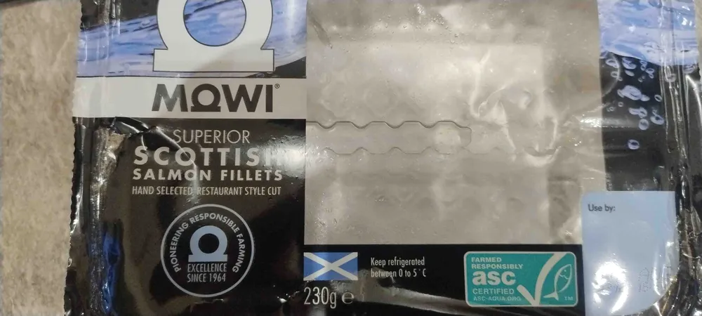 Scottish Salmon Fillets