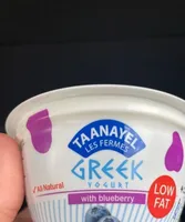 Greek Yogurt Blueberry