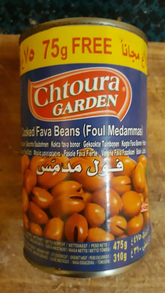 Fava Beans (Foul Medammas)