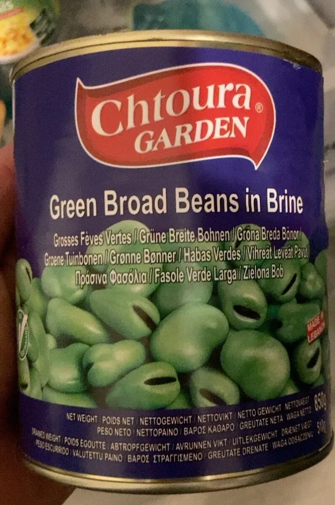 Grosse fèves verte