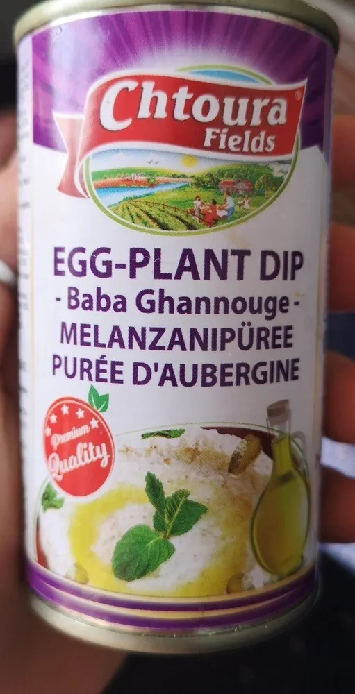 Egg-Plant Dip - Baba Ghannouge