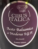 Aceto Balsamico di Modena I.G.P.