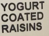 Yogurt coated raisn