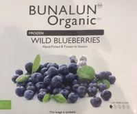 Wild blueberries