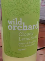 Cloudy Lemonade