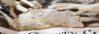 White Crusty Sliced