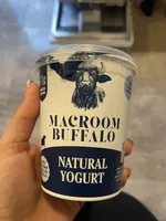 Natural Yogurt