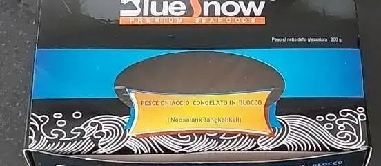 Pesce ghiaccio