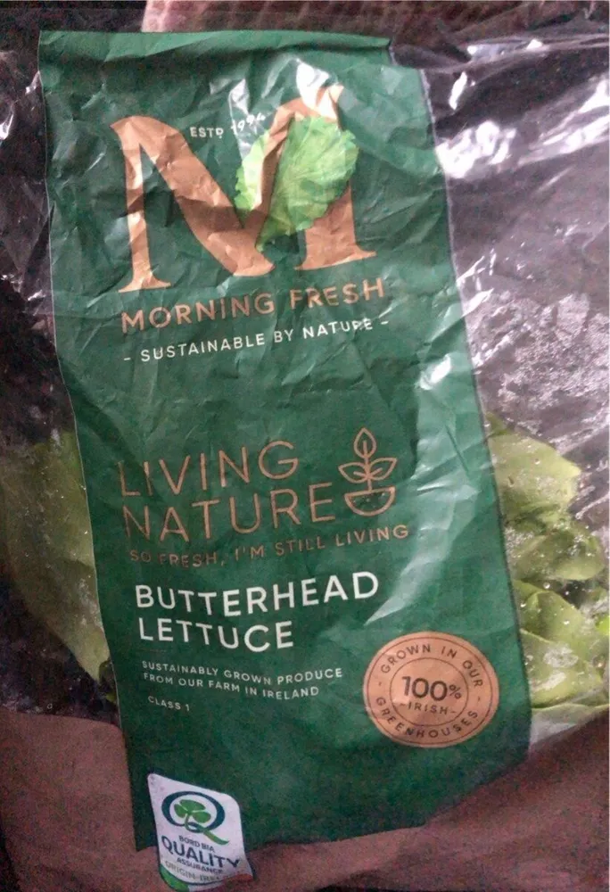 Butterhead lettuce