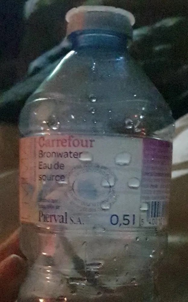 Carrefour Eau de Source