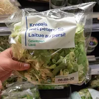 Laitue au persil