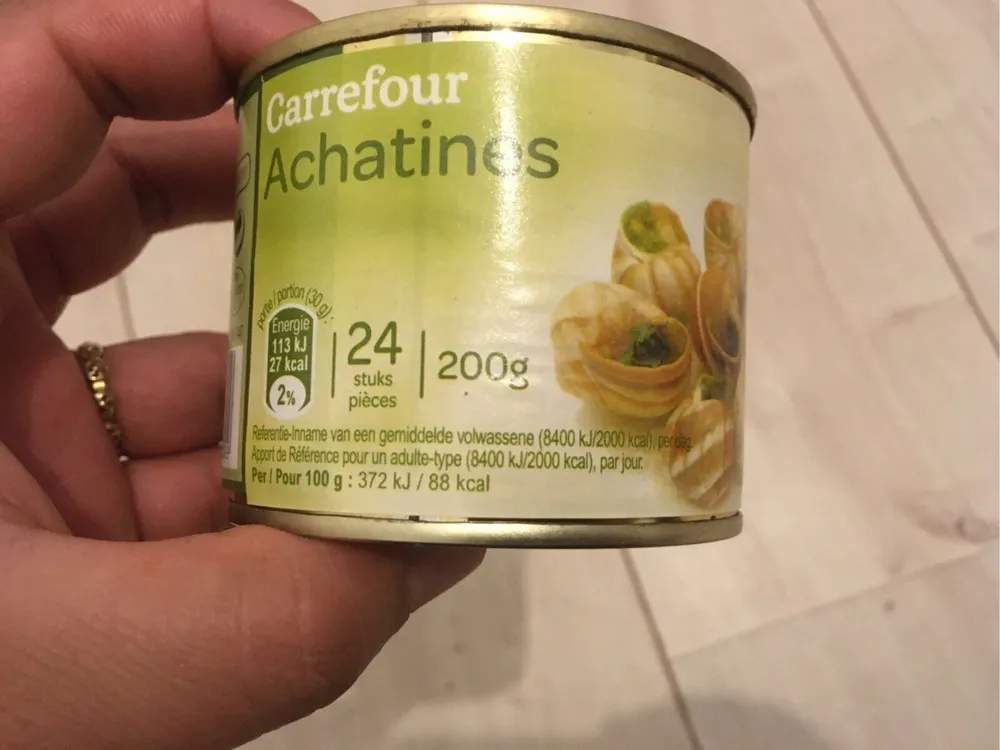 Achatines