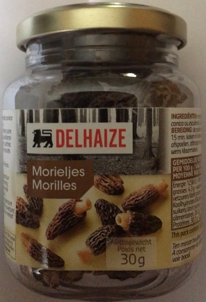 Morilles