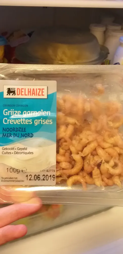 Crevette grises mer du Nord