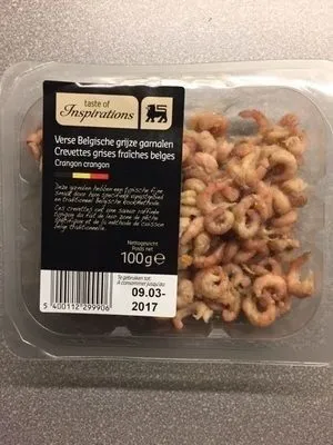 Crevettes grises fraiches belges