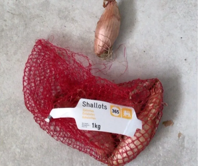 Sjalotten