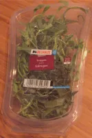 Estragon