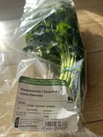 Flat Leaf Parsley