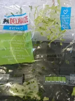 Salade iceberg avec fines herbes et coriandre