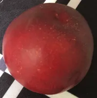 Nectarine