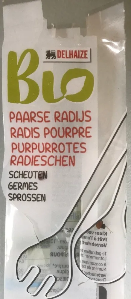 Germes de radis pourpre