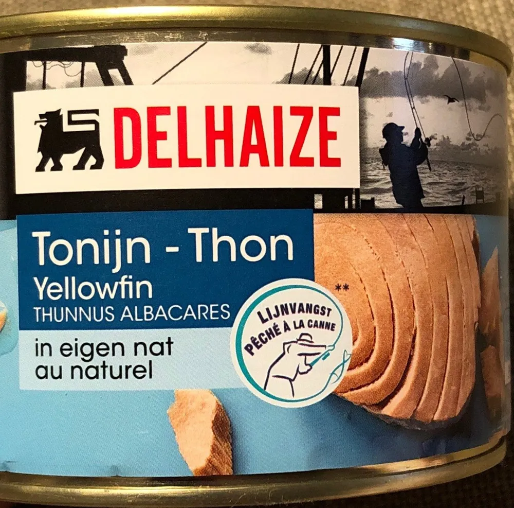 Thon au naturel