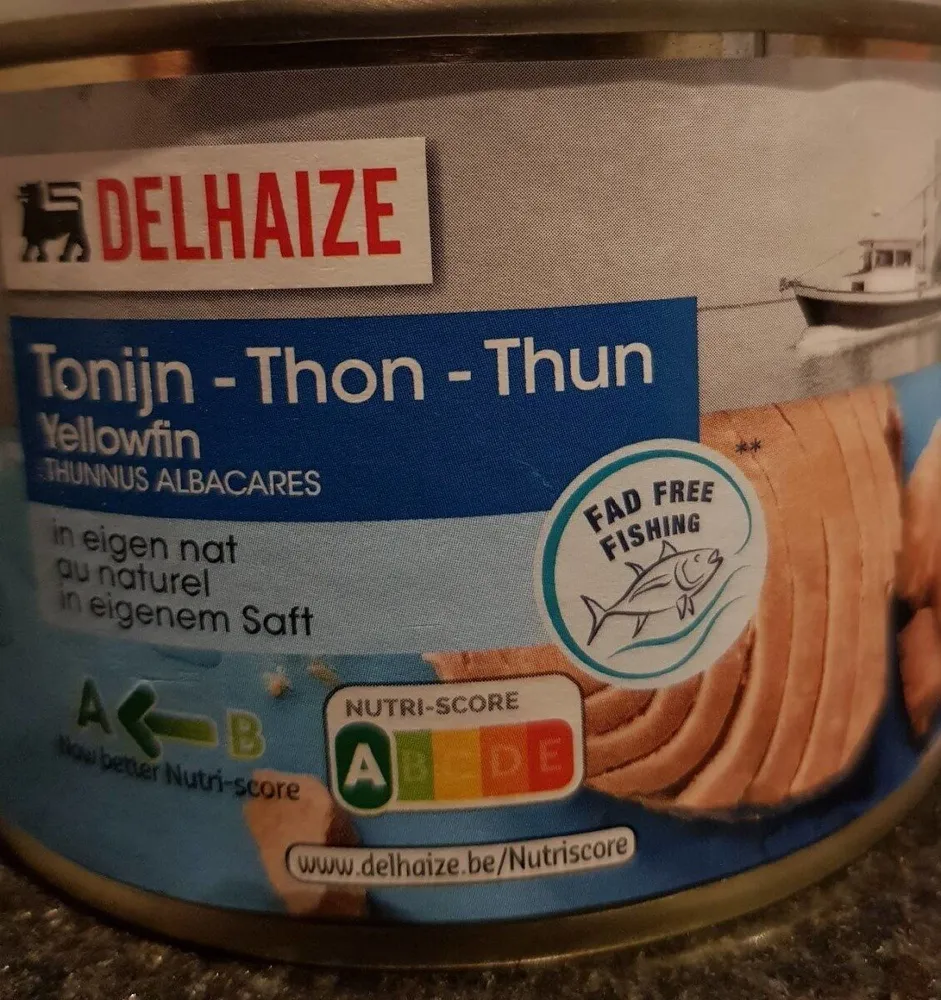 Thon au naturel