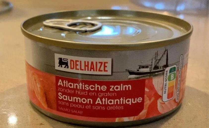 Saumon atlantique